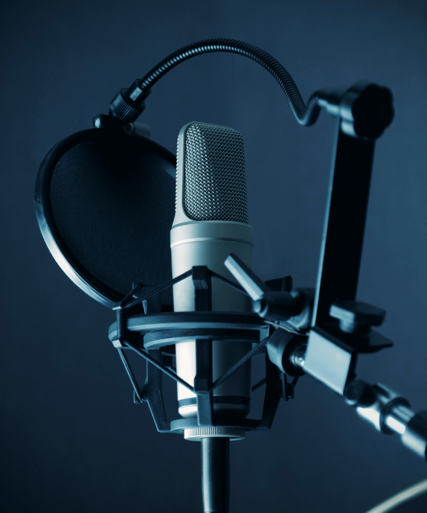 Image of a condenser microphone with a pop filter to ensure clean vocal tracks.